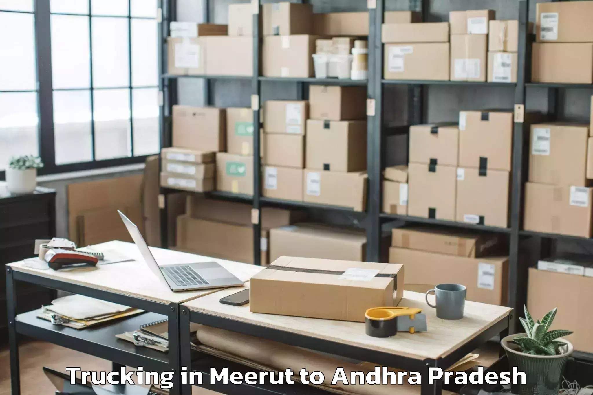 Quality Meerut to Anaparthi Trucking